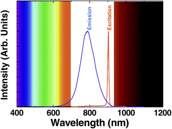 
          Emission spectrum generated by 8 nm CdTe-QDs when optically excited by a mode-locked Ti:Sapphire laser providing 100 fs pulses at 900 nm. The spectrum of the excitation laser line (tuned at this wavelength) is also included. The limits of the “biological window” are schematically indicated.