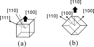 The central growth direction sketch map: (a) the central [100] and (b) central [110] groths, with lateral growths in the closer direction.