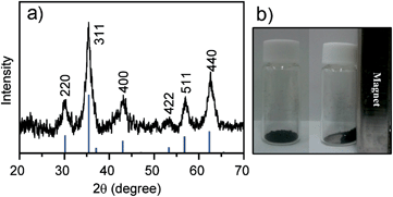 (a) XRD patterns of (R)-1-Fe3O4 NPs. The peak positions and relative intensities recorded in the literature (ICDD) for bulk Fe3O4 samples are indicated by the vertical bars. (b) Photographs of (R)-1-Fe3O4 NPs and their response to a magnet (right).