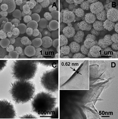 (A) Scanning electron microscopy image (SEM) of the as-synthesized material; (B) SEM and (C) transmission electron microscopy (TEM) images of the MoS2-NS microspheres; (D) a high-resolution TEM image of several MoS2 NSs; the inset shows a HRTEM image of a single MoS2 nanosheet.