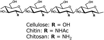 Chemical structures of cellulose, chitin, and chitosan.