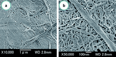 FE-SEM micrographs of the crab shell surface after removal of the matrix. The lengths of the scale bars are (a) 1000 nm and (b) 100 nm. Reprinted with permission from ref. 31. Copyright 2009, American Chemical Society.