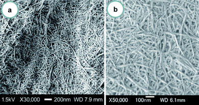 FE-SEM micrographs of chitin nanofibers from crab shells after one pass through the grinder. The lengths of the scale bars are (a) 200 nm and (b) 100 nm. Reprinted with permission from ref. 31. Copyright 2009, American Chemical Society.