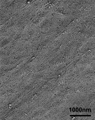 
          FE-SEM micrograph of chitin nanofibers from black tiger prawn shells. The length of the scale bar is 1000 nm. Reproduced with permission from ref. 36. Copyright 2011, Elsevier.