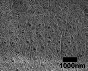 
          FE-SEM micrograph of the surface of the black tiger prawn shell after removing the matrices. The length of the scale bar is 1000 nm. Reproduced with permission from ref. 36. Copyright 2011, Elsevier.