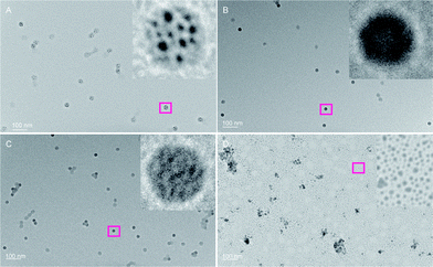 TEM images of HRP–ADHCPMV stained with 1% AgNO3 solution. Particles were washed thoroughly with Milli-Q water after deposition on TEM grids and after the addition of 5–10 μL of 1% AgNO3 solution. (A) HRP–ADHCPMV; inset confirms localization of metallic silver on the virus capsid; (B) CPMV; (C) NHS–esterCPMV; (D) HRP–ADH.