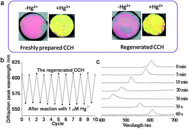 (a) The response of the freshly prepared aptasensor and the regenerated aptasensor to Hg2+. (b) Reversible changes in the diffraction wavelength of the aptasensor with 1 μM Hg2+. (c) Changes in the diffraction spectra of the aptasensor during air-drying and rehydration.