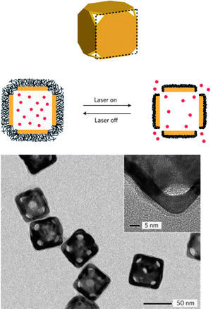 Schematic illustration and characterization of the gold nanocage for controllable release.102