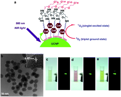Scheme of loaded-Ce6 PEGylated UCNPs for optical imaging-guided photodynamic therapy.113