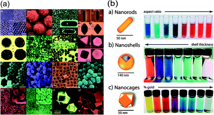 (a) Various gold nanostructures with potential biomedical applications; (b) the color changes along with the aspect ratio, shell thickness and/or galvanic displacement of these gold-based nanostructures.45