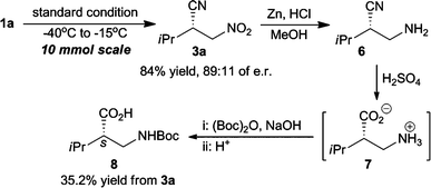 Synthesis of β-amino acids from 3a.