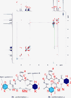 Overlaid COSY (red cross peaks) and NOESY (blue peaks) spectra of 3b in CDCl3/MeOD (3 : 1, 500 MHz, 297 K, mixing time = 800 ms). Cross-peaks are indicated by corresponding colours in the spectrum and the suggested structures below.