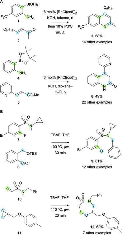 Examples of the synthesis of small molecule scaffolds from bifunctional building blocks using ambiphile pairing reactions. The atoms in different building blocks that ultimately are bonded are highlighted with the same shape. Panel A: Synthesis of heterocyclic scaffolds by reaction between o-substituted boronic acid derivatives and unsaturated carbonyl compounds. Panel B: Syntheses of alternative sultam scaffolds.