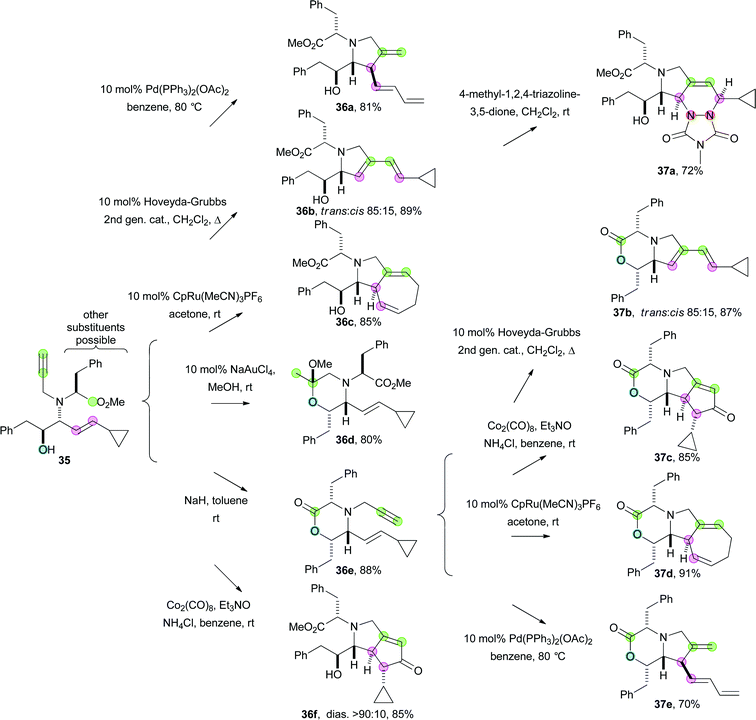 A branching pathway exploiting complementary cyclisation reactions.