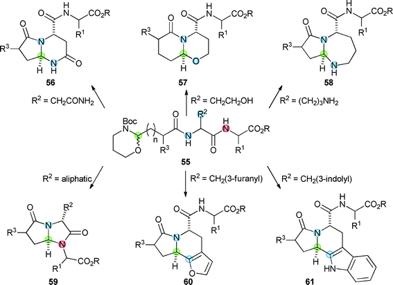 Acid-catalysed cyclisation of N-acyl iminium ions to yield a range of small molecule scaffolds.