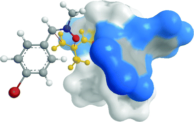 Model showing the approach of N-Me, α-(4-Br-Ph) nitrone (1g) to the accessible Cα-Si face of the C–C double bond of methacrolein (3) coordinated in the chiral pocket of the catalyst (R,R)-11.17