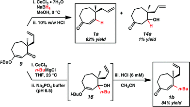 
          Reduction and organometallic addition conditions favoring cycloheptenone formation.