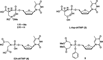 Structure of phosphoramidate derivatives of d4T.