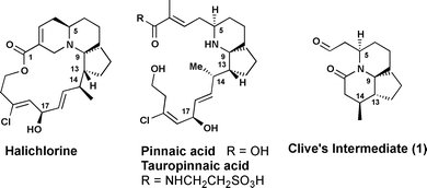 Structure of halichlorine and pinnaic acids.