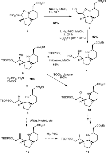 Initial attempts to install the C14 methyl group.