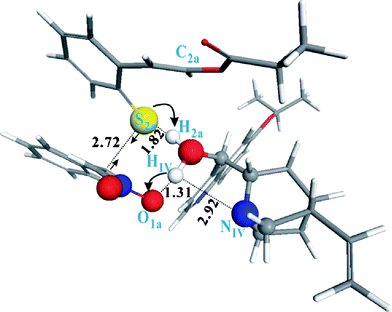 The fully optimized transition state structure for the cascade reaction of 1a and 2a catalyzed by IV.