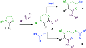 3-CRs of 1,3-oxazolidines.
