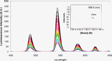Evolution of the luminescence spectra of P2 (18.8 μM)-Tb(iii) (75.2 μM) upon titration by CuCl2 and after excitation of Trp at 280 nm at pH 7.0 (10 mM HEPES) and in 0.1 M NaCl. Inset: The corresponding titration profile at 550 nm and the best fit obtained using SPECFIT.