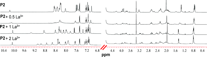 Partial 1H NMR spectra (600 MHz, 298 K) of the titration of P2 with La3+ in a 9/1 H2O/D2O solution.