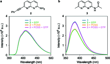 Chemical structures and emission spectra of 10 μM (a) 2 and (b) 3 in the presence and absence of 100 μM G2 POSS-core dendrimers by adding 100 μM GTP in water at 25 °C. Excitation wavelength was 330 nm.