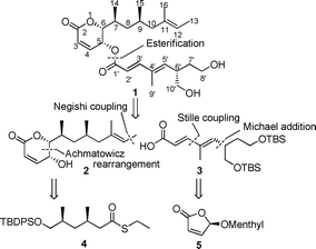 Retrosynthesis of (−)-rasfonin 1.