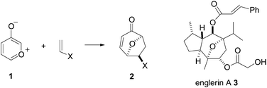 1,3-Dipolar cycloaddition approach to 8-oxa-bicyclo[3,2,1]octanes.