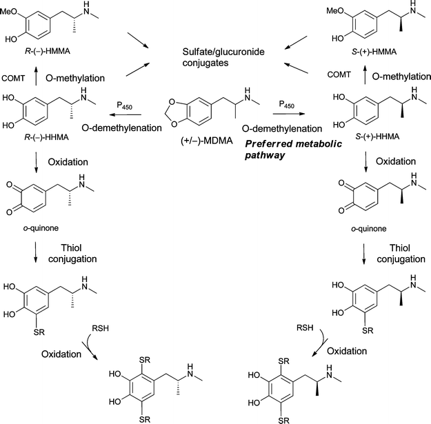 A convenient biomimetic synthesis of optically active putative neurotoxic  metabolites of MDMA (“ecstasy”) from R -(−)- and S -(+)- N  -methyl-α-methyld ... - Organic & Biomolecular Chemistry (RSC Publishing)  DOI:10.1039/C2OB25245G