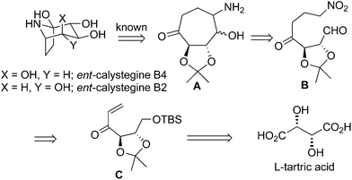 Total Synthesis Of Ent Calystegine B4 Via Nitro Michael Aldol Reaction Organic Biomolecular Chemistry Rsc Publishing Doi 10 1039 C2obk