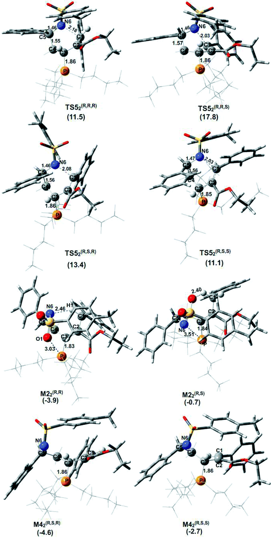 Y Analysis of Morphological Characteristics of Male and Female