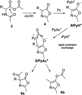 On the mechanism of the Dakin–West reaction - Organic & Biomolecular  Chemistry (RSC Publishing) DOI:10.1039/C2OB26560E