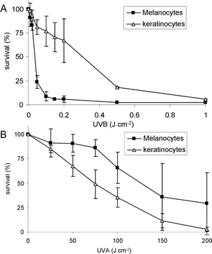 Cytotoxicity of UVB (upper panel) and UVA (lower panel) in primary culture of human melanocytes and keratinocytes. Cell viability was determined by the MTT assay.