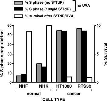 Specific inactivation of fast-dividing cells by S4TdR/UVA S4TdR is incorporated into the DNA during replication and is not cytotoxic on its own. Normal cells have a low population of S phase cells, contrarily to cancer cells. In the presence of UVA, normal cells incubated with S4TdR have a higher survival in contrast to very poor survival of cancer cells.