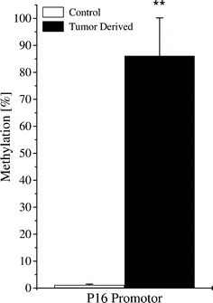 
            Sustained promoter hypermethylation of 
            P16
            
              INK4a
            
            
            in tumor-derived 
            cells
            . Quantitative methylation specific PCR (qMSP) revealed a strong increase of P16INK4a promoter methylation from ∼0% in the control cells to ∼85% in the tumor-derived cells. Error bars indicate standard deviations. N ≥ 3. **: p < 0.01.