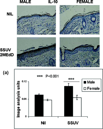 Immunohistochemical staining of IL-10 (brown) in typical mid-dorsal skin sections before (Nil) and 72 h following irradiation with a single dose of 3 MEdD SSUV. (a) Graph shows semi-quantitation by image analysis of the relative intensity of immunopositive staining for IL-10 averaged for 15 sequential mid-dorsal fields each of 3 male and female mice (n = 45 sequential fields) before and 72 h following irradiation, expressed as arbitrary units ± SEM. Symbols indicate values differing statistically significantly.