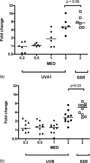 Effect of (a) UVA1 and (b) UVB on TIMP-1 mRNA expression in comparison with 2 MED SSR. The horizontal bars represent median values. A linear regression model showed a highly significant effect of UVA1 and UVB dose, with UVA1 being more effective than UVB.