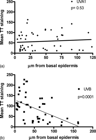 Influence of dermal depth on T<>T staining after 3 notional MED (a) UVA1 and (b) UVB. A total 50 nuclei for each spectrum were examined from 12 volunteers. Biopsies taken immediately after exposure and the data have been analyzed by linear regression and p values refer to slopes of regression lines. The mean T<>T staining (vertical axis) represents the “red intensity” of each nucleus. This is calculated from the average intensity of each pixel within a nucleus and corresponds to the amount of T<>T present.