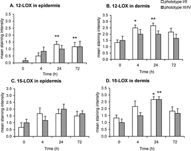 Immunohistochemical assessment of 12-LOX and 15-LOX expression in skin punch biopsies of unirradiated (0 h) and irradiated (4, 24 and 72 h) human skin phototype I/II and III/IV, following 12 SED of UVR. Expression of 12-LOX in epidermis (A) and dermis (B); expression of 15-LOX in epidermis (C) and dermis (D). Results are expressed as mean ± SEM (n = 6 subjects per phototype group). * p < 0.05, ** p < 0.01 comparing data to un-irradiated skin (0 h).