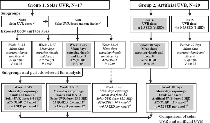 Approach to estimate required solar UVR and artificial UVB to increase 25(OH)D significantly in as comparable sizes of UV exposed areas as possible. 17 volunteers in Group 1 were exposed to solar UVR in their natural environment. Sun exposure diaries, individual solar UVR doses and 25(OH)D levels were available for a subgroup (N = 8). UVR doses were measured from March and henceforth. The sun-exposed areas are more or less restricted to hands and face during spring (week: 13–21, see Table 1 for exact visit dates and weeks) and were thus selected for analysis. Group 2 received artificial UVB on hands and face with a total dose of either 6 or 3 SEDs during late winter/early spring when outdoor UVB is negligible. In Group 1 there was no significant 25(OH)D increase when sun-exposed areas were restricted to hands and face. Comparison between the two sources of UV was performed when the earliest significant increase in 25(OH)D was present. Boxes with italic text indicate UV doses resulting in insignificant Δ25(OH)D or periods with unsuitable UV-exposed areas for comparison. Grey boxes indicate significant Δ25(OH)D and periods used for comparisons made between solar and artificial UV. Artificial UVB was at least 8 times more efficient in increasing 25(OH)D than solar UVR when the UV-exposed areas were more or less restricted to hands and face (see Table 3).