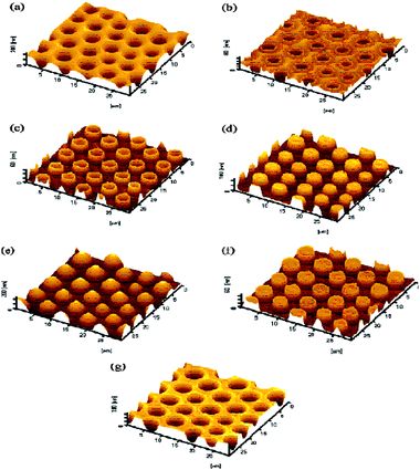 AFM images showing the 3D topography of porous films with reversible switchable behaviour when exposed to solvent vapors (a) cast honeycomb film, (b–e) after exposure to CS2 vapor for 10 min, 15 min, 20 min; and (f–g) after exposure to chloroform for 5 min and 10 min, respectively. Re-printed from L. Cui, Y. Xuan, X. Li, Y. Ding, B. Li and Y. Han, Polymer surfaces with reversibly switchable ordered morphology, Langmuir, 2005, 21, 11696–11703.