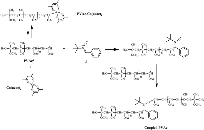 Radical coupling of PVAc-Co(acac)2 by nitrone1.