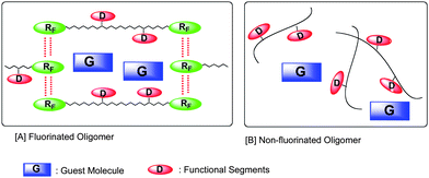 Schematic illustration for the interaction of self-assembled fluoroalkyl end-capped oligomers with guest molecules.