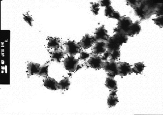 
          TEM (transmission electron microscopy) images of RF–(AMPS)x–(Ad-HAc)y–RF/Au nanocomposites in methanol.