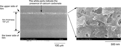 
          FE-SEM images of the cross-section of the modified PMMA films treated with RF–(MES)n–RF/CaCO3 nanocomposites.