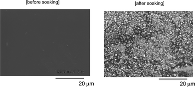 
          SEM photographs of the modified PMMA film surface treated with RF–(VM–SiO2)n–RF/HAp nanocomposites before and after soaking in SBF at 37 °C for 7 days.