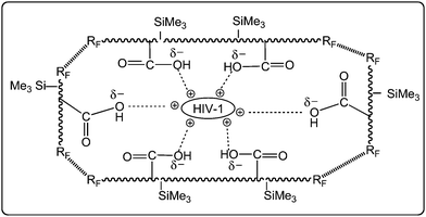 Schematic illustration for the interaction of HIV-1 and the aggregates formed by RF–(CH2–CHCO2H)x–(CH2–CHSiMe3)y–RF.